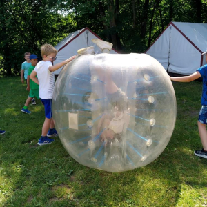 3b Drzewina - Bumper Ball